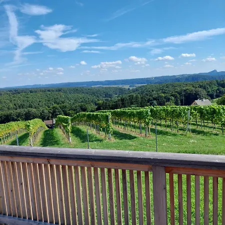 Baronigg Weingartengut Feriehus