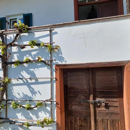 Baronigg Weingartengut * Ziegenberg