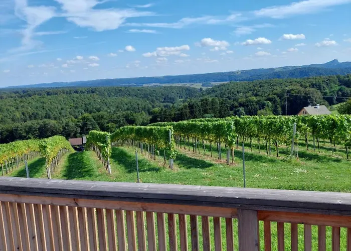 Baronigg Weingartengut Holiday home