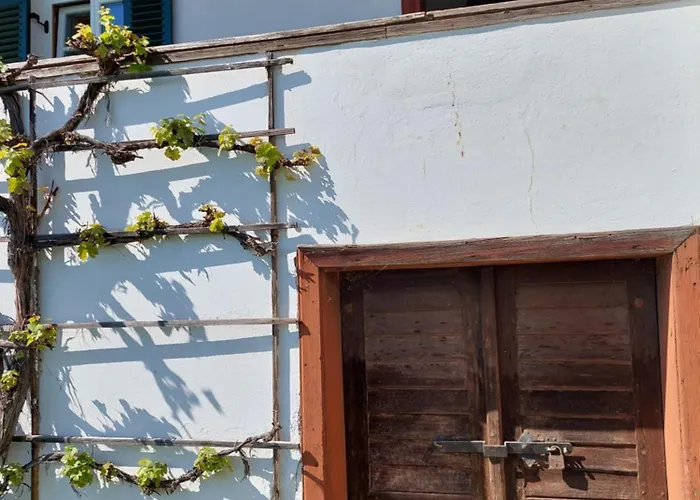 Baronigg Weingartengut * Ziegenberg